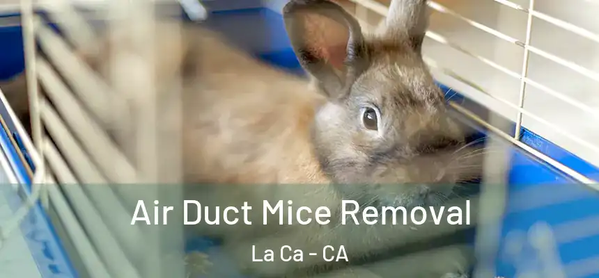 Air Duct Mice Removal La Ca - CA