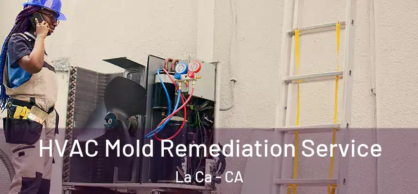 HVAC Mold Remediation Service La Ca - CA