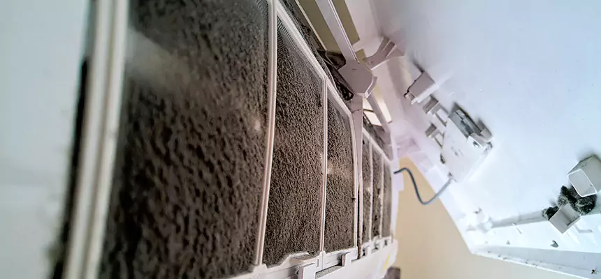 Preventive Air Duct Bacteria Removal in La Ca