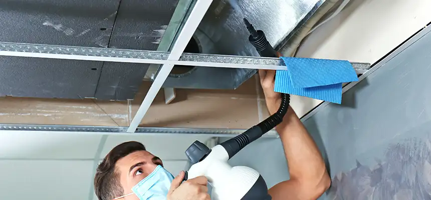 Our Air Duct Rodent Removal Services in La Ca, CA