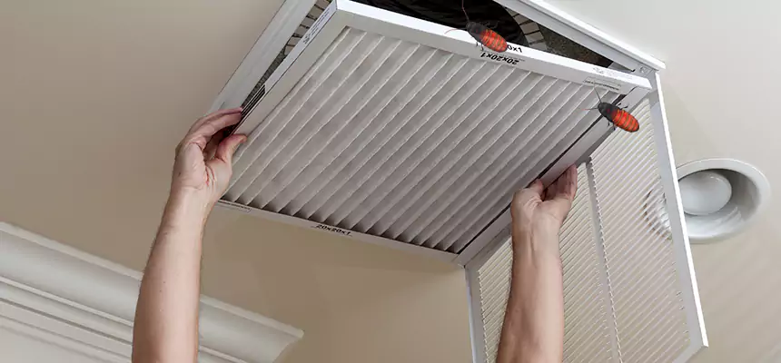 Our Insect Removal from Air Ducts Services in La Ca, CA