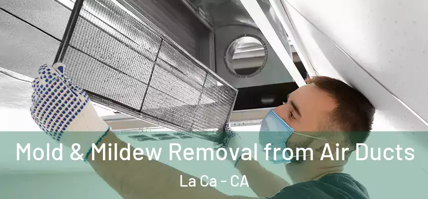 Mold & Mildew Removal from Air Ducts La Ca - CA