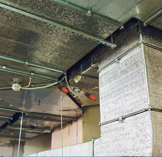 Why Homeowners & Businesses Trust Us in La Ca, CA?