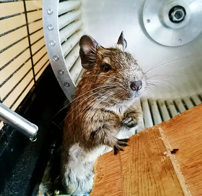 Why Homeowners & Businesses Trust Us La Ca, CA